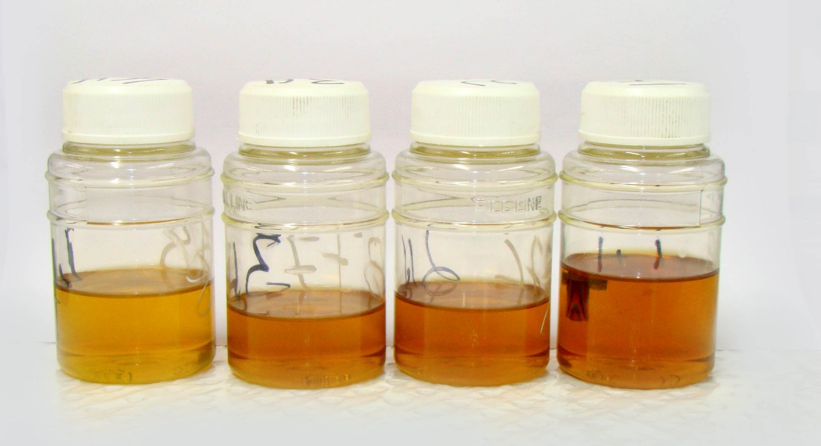 Hizmet 3